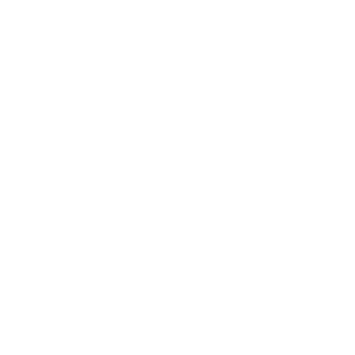 The Web Initiative